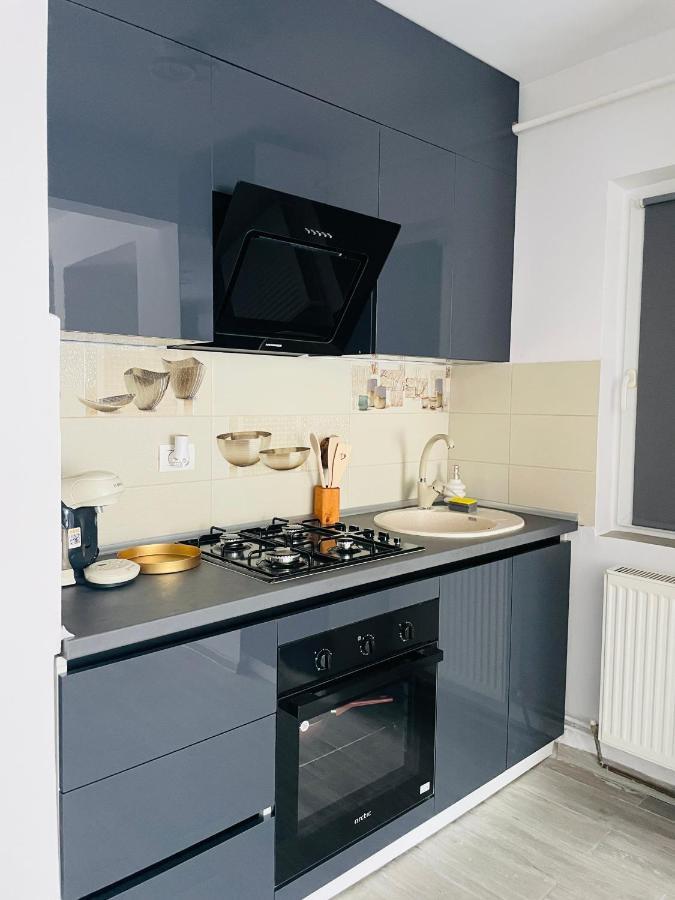 Timisoara Central Apartment New Parking !! Εξωτερικό φωτογραφία