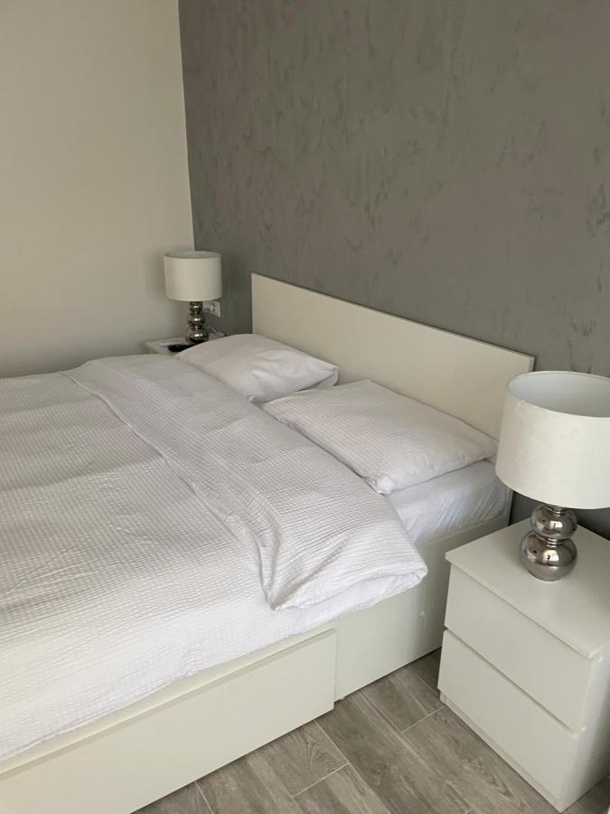 Timisoara Central Apartment New Parking !! Εξωτερικό φωτογραφία