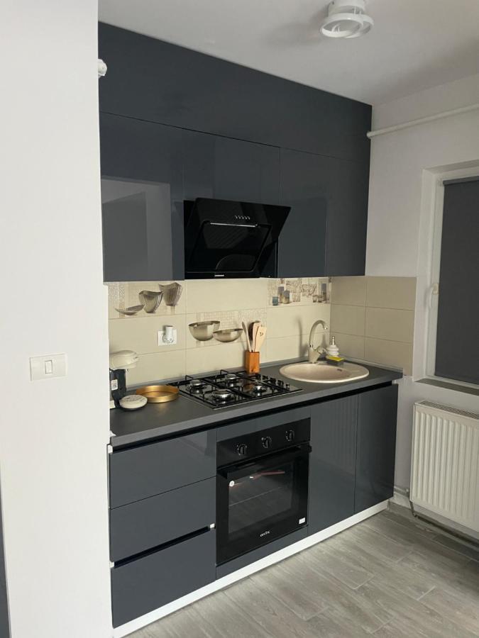 Timisoara Central Apartment New Parking !! Εξωτερικό φωτογραφία